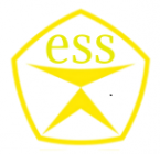 Логотип компании electronic security system СИСТЕМЫ БЕЗОПАСНОСТИ
